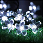 Cherry Blossom White Light / 1.5-meter 10 light battery model