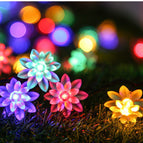 Lotus Colorful Light / 1.5-meter 10 light battery model