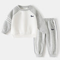 Boy's Children's Spring and Autumn New Fashion Set, Kids Raglan Sleeve Sports Suit, Pants and Hoodie Two-Piece Set