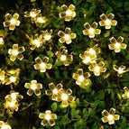 Cherry Blossom Warm Light / 1.5-meter 10 light battery model